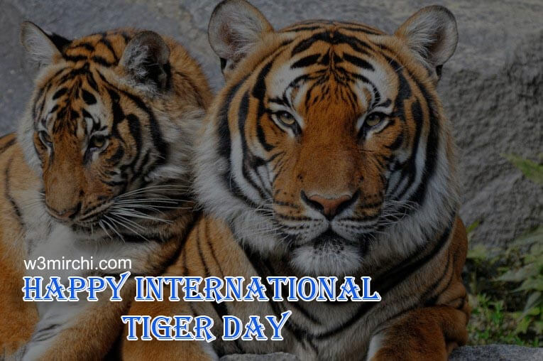 Happy International Tiger Day.